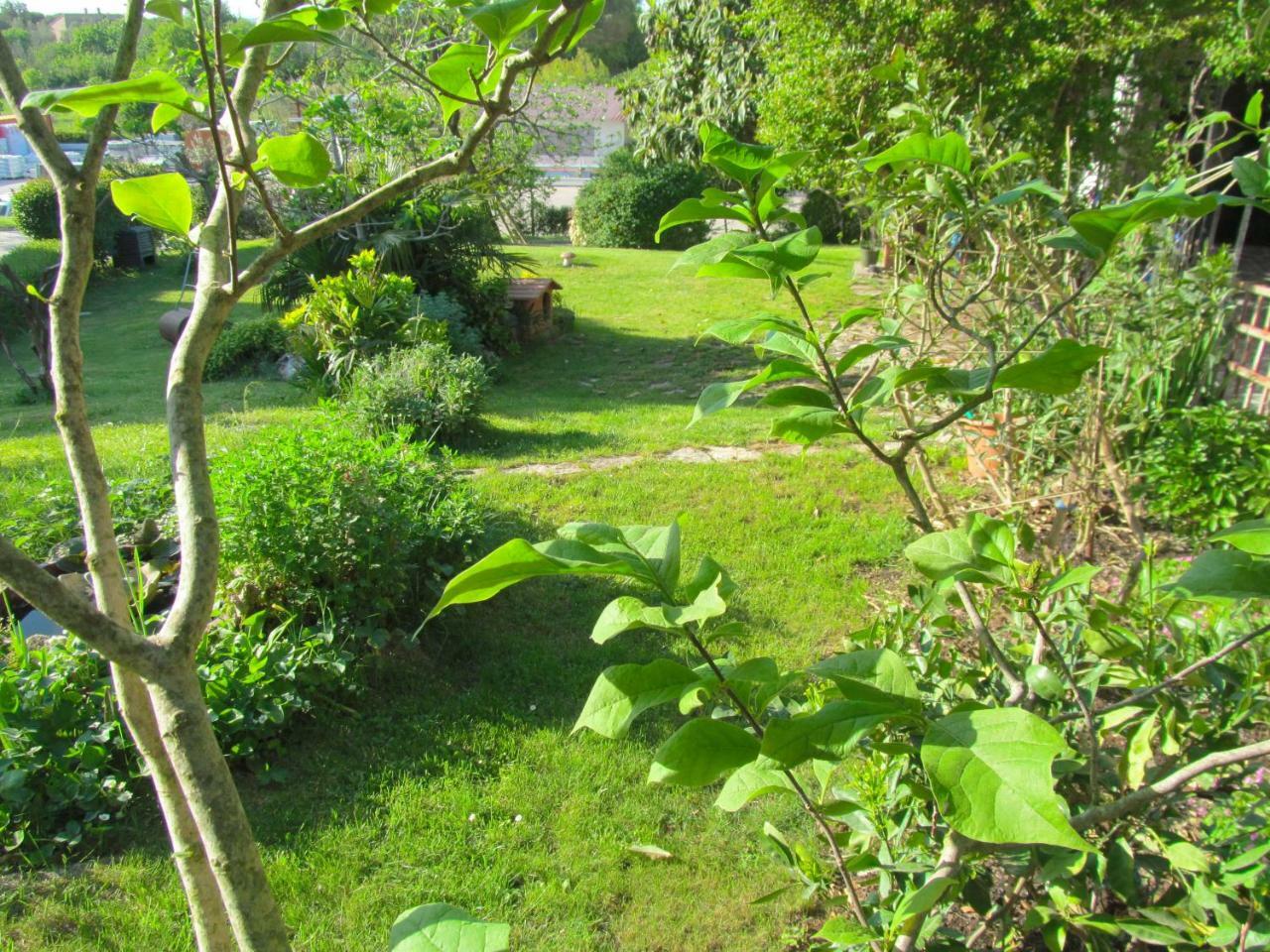Apartman Ladybird Pula Dış mekan fotoğraf