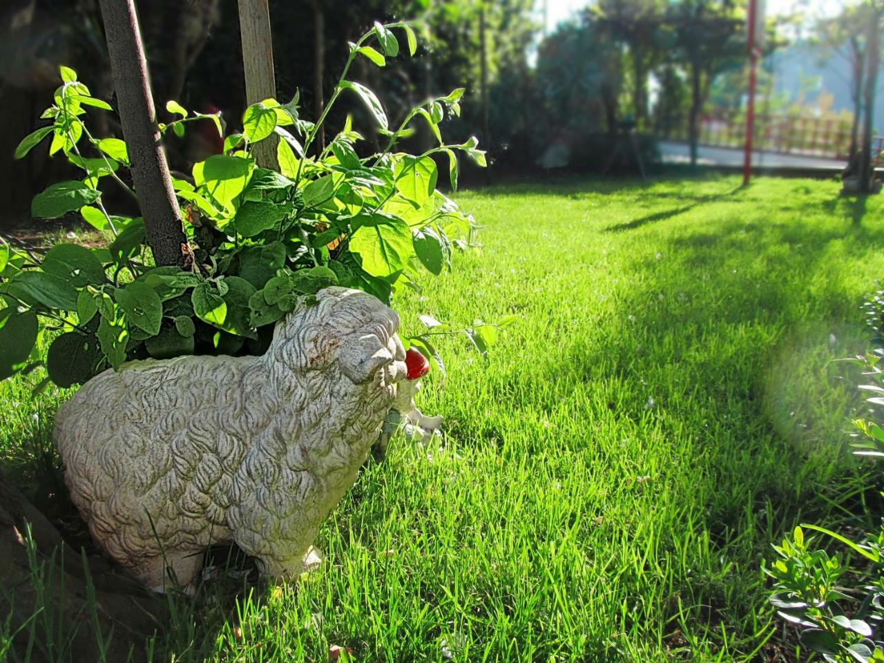 Apartman Ladybird Pula Dış mekan fotoğraf
